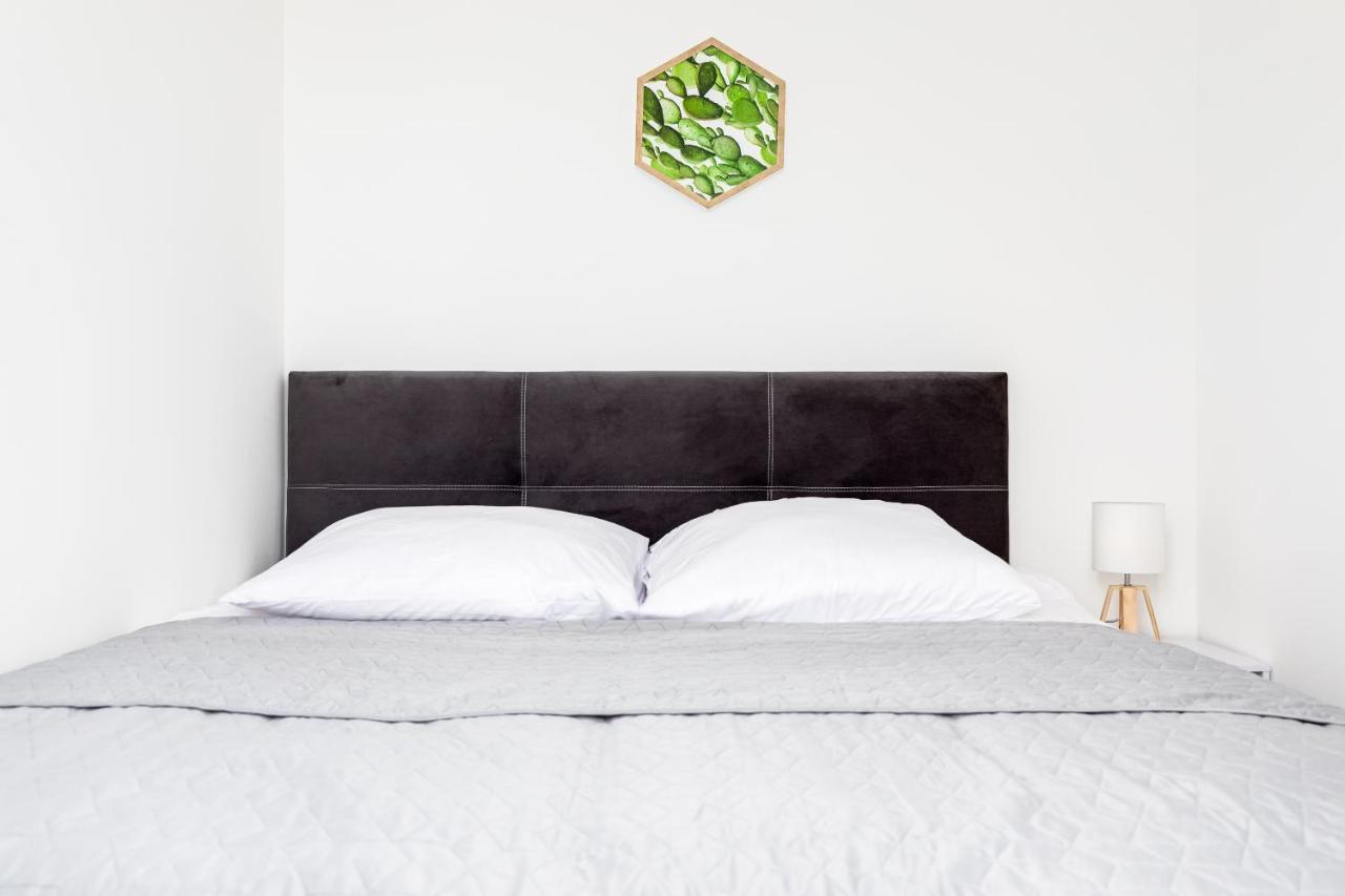 Przytulny Apartament 62 Centrum Szczecina Dış mekan fotoğraf